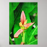 Tropical Banana - Banana Flower Print
