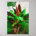 Tropical banana tree foliage - Walk in the Garden posters