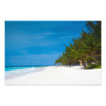 Tropical Beach in Barbados Photograph