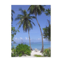 Tropical Beach Post Card