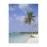 tropical beach postcard