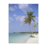 tropical beach postcard