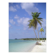 tropical beach postcard