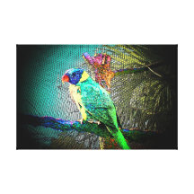 Tropical Bird 1 Gallery Wrap Canvas