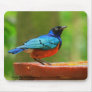 Tropical Bird Mousepad