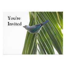 Tropical Bird Picture on Palm Tree Custom Invites