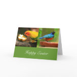 Tropical Birds Easter Greeting Card