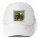 Tropical Butterfly Baseball Hat