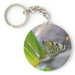 tropical butterfly keychains