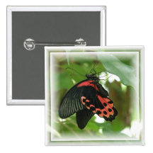 Tropical Butterfly Square Button