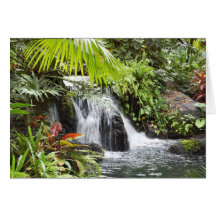 Tropical Card