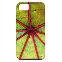 Tropical Castor Leaf Structure
