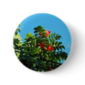 Tropical Delight buttons