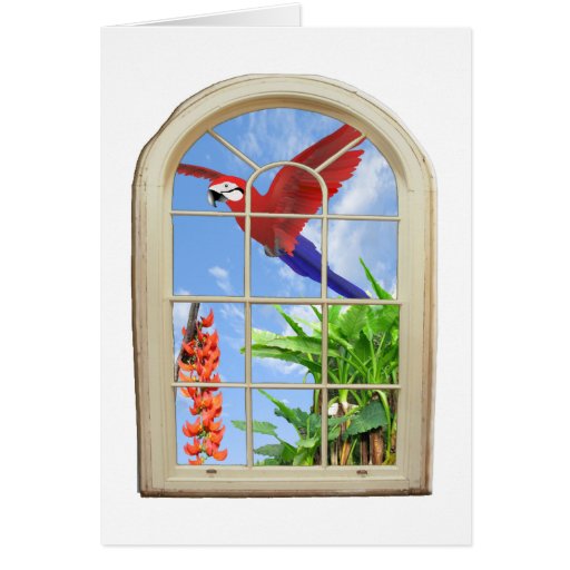 Tropical Delight Greeting Card