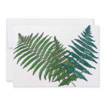 Tropical Fern Trio