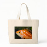 Tropical Fish Bags