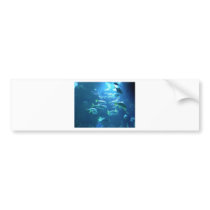 Tropical Fish