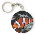Tropical Fish keychains
