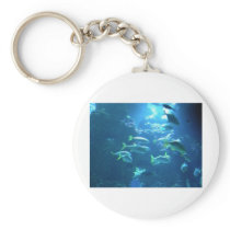 Tropical Fish