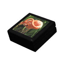 Tropical Flamingo Gift Box