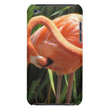 Tropical Flamingo iTouch Case iPod Touch Cases