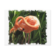 Tropical Flamingo Postcard