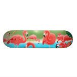 Tropical Flamingos Skateboard