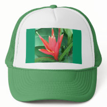 Tropical Flower Bird of Paradise Hat