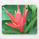 Tropical Flower Bird of Paradise Mouse Pad