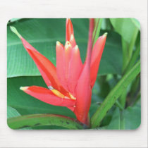 Tropical Flower Bird of Paradise Mouse Pad
