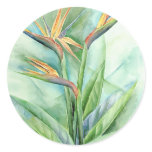 Tropical Flower Bird Of Paradise Painting - Multi Stickers