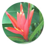 Tropical Flower Bird of Paradise stickers