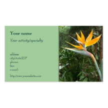 "Tropical flower" business card