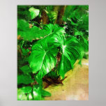 tropical foliage, fairchild tropical gardens, miam posters