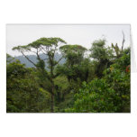 Tropical forest canopy cards