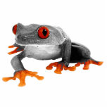 Tropical Frog Ornament..! photo sculptures