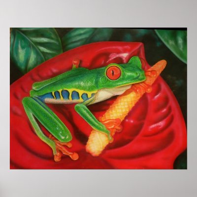 Tropical Frog Posters