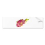 Tropical fruit - Pitaya Bumper Sticker