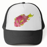 Tropical fruit - Pitaya Mesh Hats