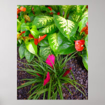 Tropical Garden Poster
