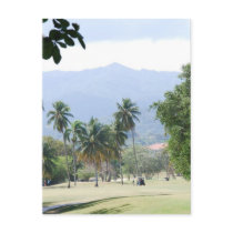 Tropical Golf Course Postcards