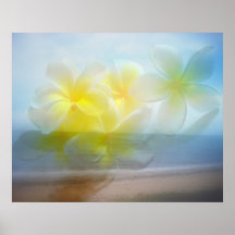 Tropical Haven Print