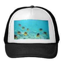Tropical Hawaiian Underwater Fish Hat
