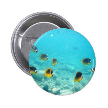 Tropical Hawaiian Underwater Fish Pins