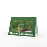 Tropical holiday card