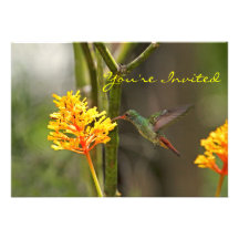 Tropical Hummingbird and Flower Custom Announcements
