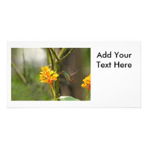 Tropical Hummingbird and Flower Photo Card