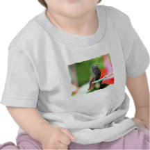 Tropical Hummingbird at Feeder Shirt