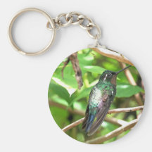 Tropical Hummingbird Picture Key Chains