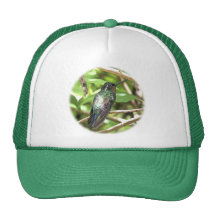 Tropical Hummingbird Picture Mesh Hats